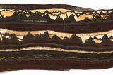 Polished Tiger Iron Stromatolite Slab - Billion Years #221973-1